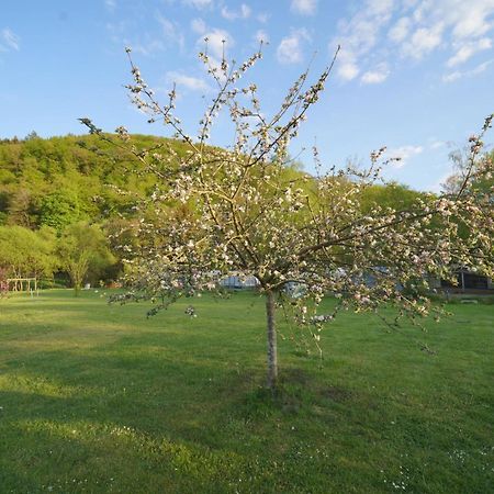 Safaritent Op Camping Berkel Bockholtz Dış mekan fotoğraf