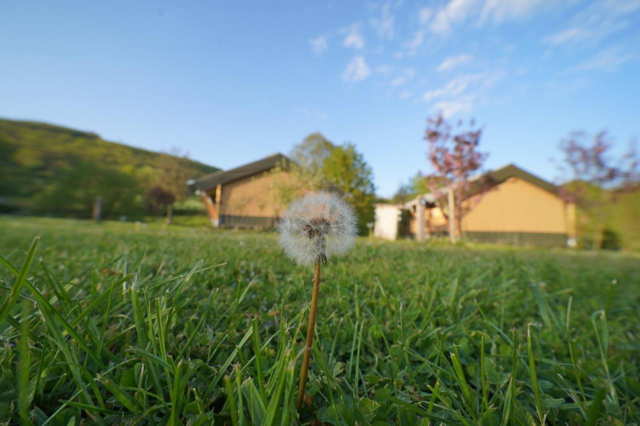 Safaritent Op Camping Berkel Bockholtz Dış mekan fotoğraf