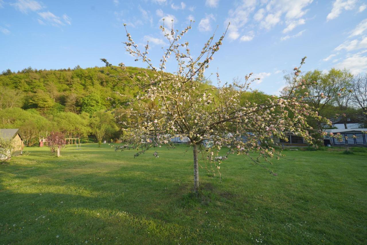 Safaritent Op Camping Berkel Bockholtz Dış mekan fotoğraf